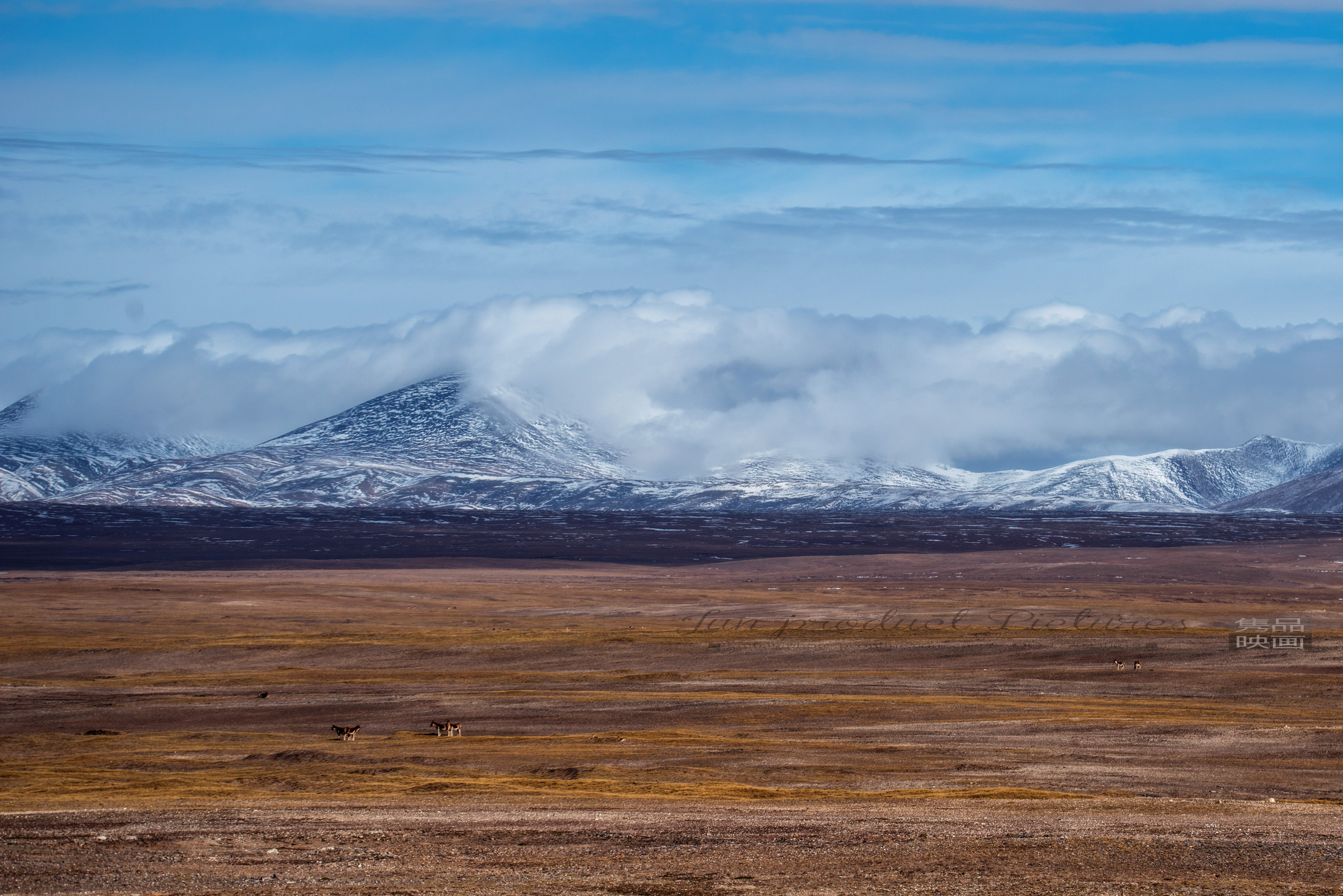 旅游业将成 全球经济复苏重要力量