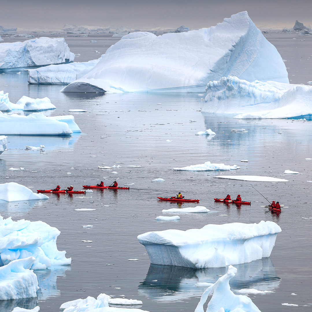 南极旅游常见问题？南极旅游注意事项