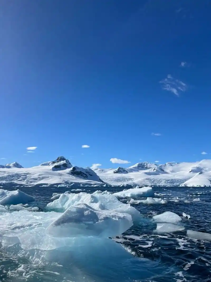 巴雷尼群岛：南极边缘的荒野秘境