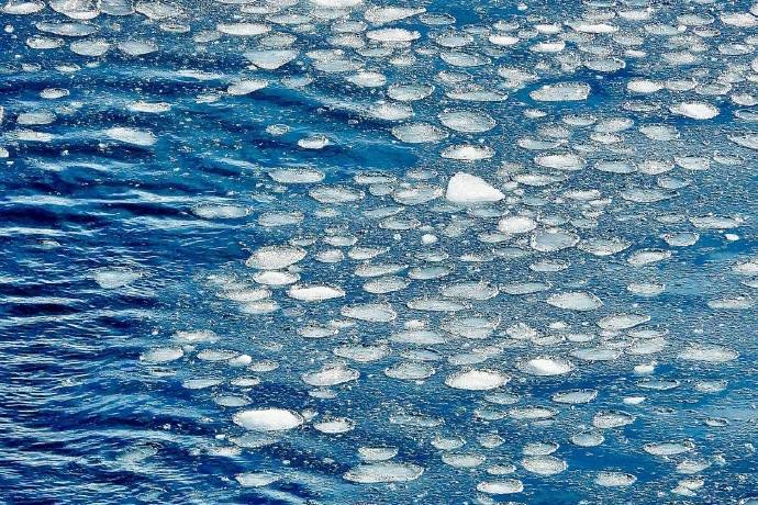 南极荷叶冰：冰雪奇境中的灵动诗篇