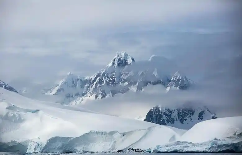 阿德利地：南极冰原上的生命棱镜