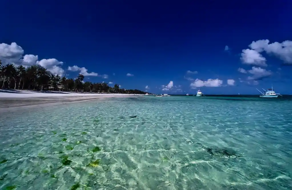 南印度洋：生命与文明的潮涌之海