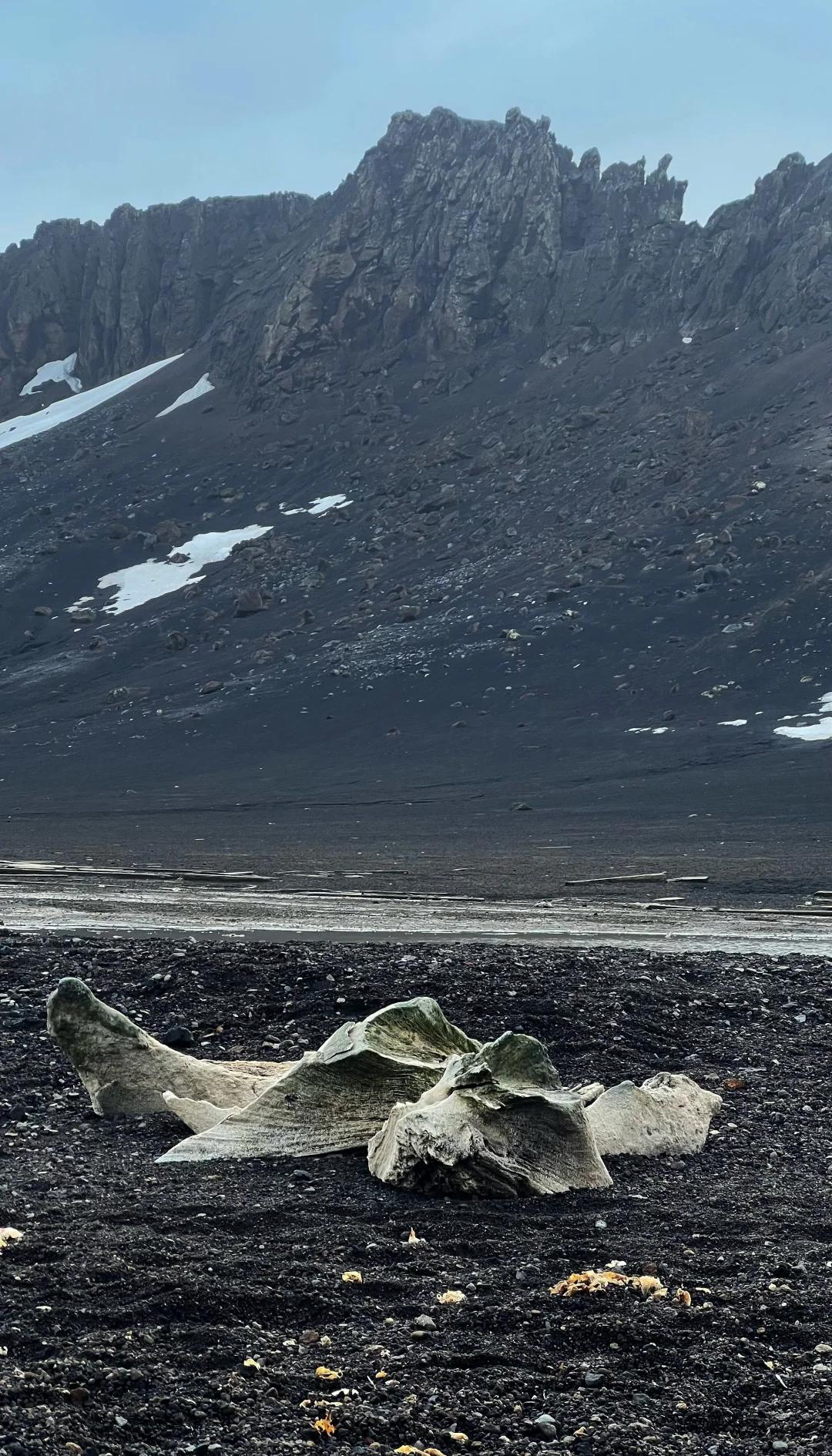 欺骗岛：极地裂隙中的虚妄与真实