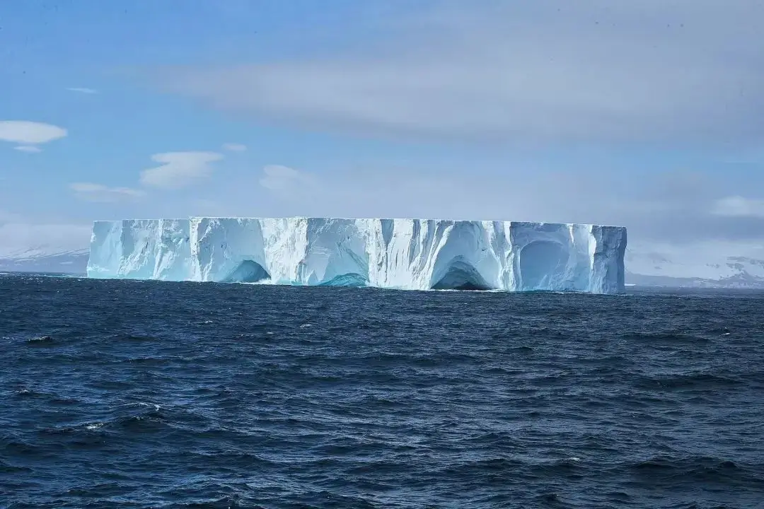 南极威尔米纳：冰雪王国中的隐秘瑰宝