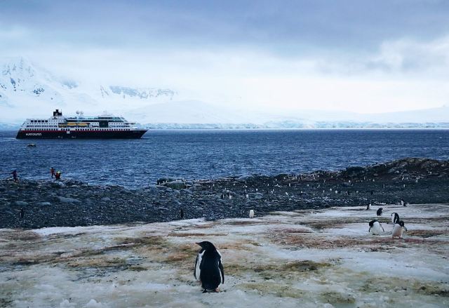 探秘纳克港：南极半岛的冰雪绮梦