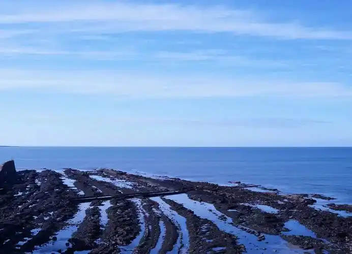 圣安德鲁斯湾：南极净土上的生命交响