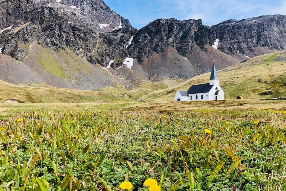 探秘古利德维肯：南乔治亚岛的历史与自然交融之旅