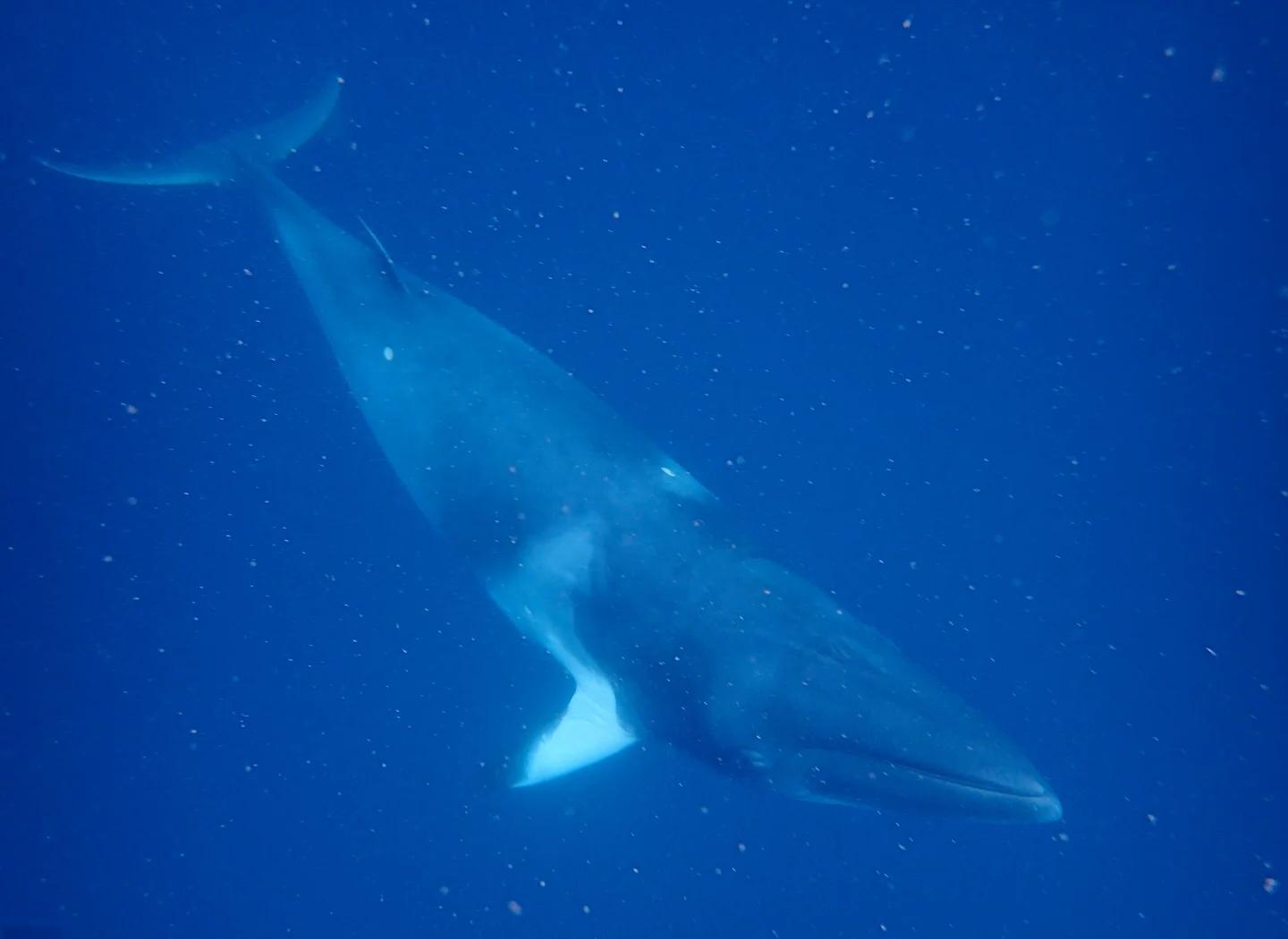 u=1803312992,742730064&fm=3074&app=3074&f=JPEG.jpg u=1803312992,742730064&fm=3074&app=3074&f=JPEG.jpg