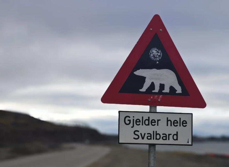 朗伊尔城:北极之门的奇幻之旅