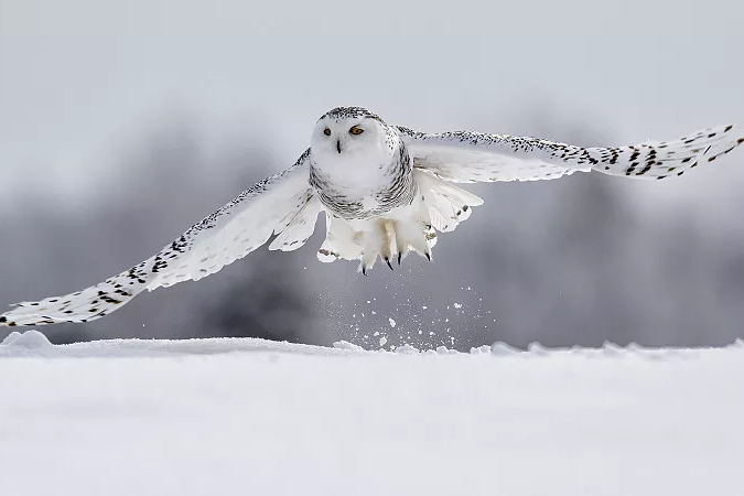 b21bb051f8198618367ab2b9c1bb39738bd4b31c48cd.jpg b21bb051f8198618367ab2b9c1bb39738bd4b31c48cd.jpg