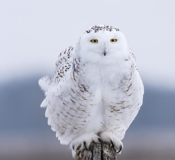 QQ截图20250619011627.jpg QQ截图20250619011627.jpg