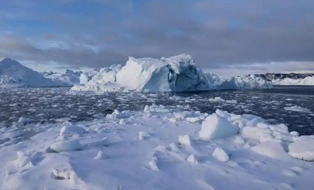 迪斯科湾：冰与海的史诗，极地生命的剧场