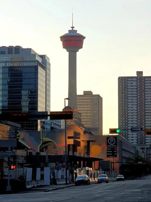 卡尔加里：落基山畔的文明交响与都市诗篇