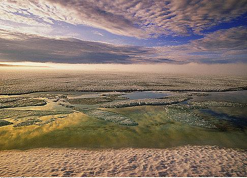 剑桥湾：北极圈下的因纽特文明与极地诗篇