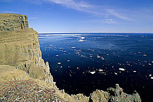 利奥波德王子岛：极北之地的生态孤岛与历史回响