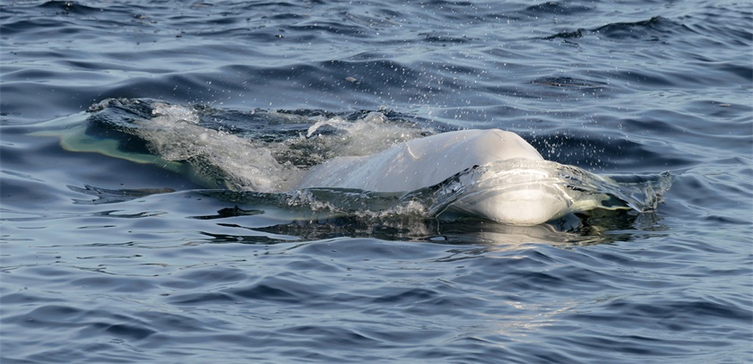 b03d-fypyuvc3598890.jpg
