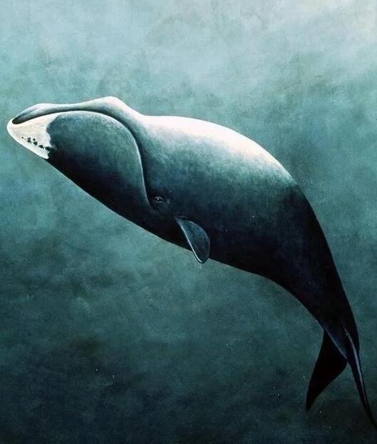 QQ截图20250628223459.jpg QQ截图20250628223459.jpg