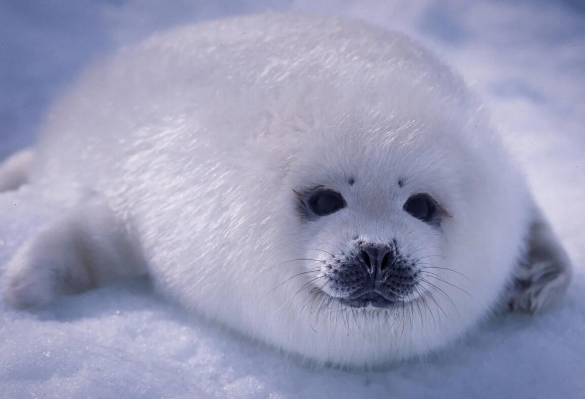 QQ截图20250630163141.jpg QQ截图20250630163141.jpg