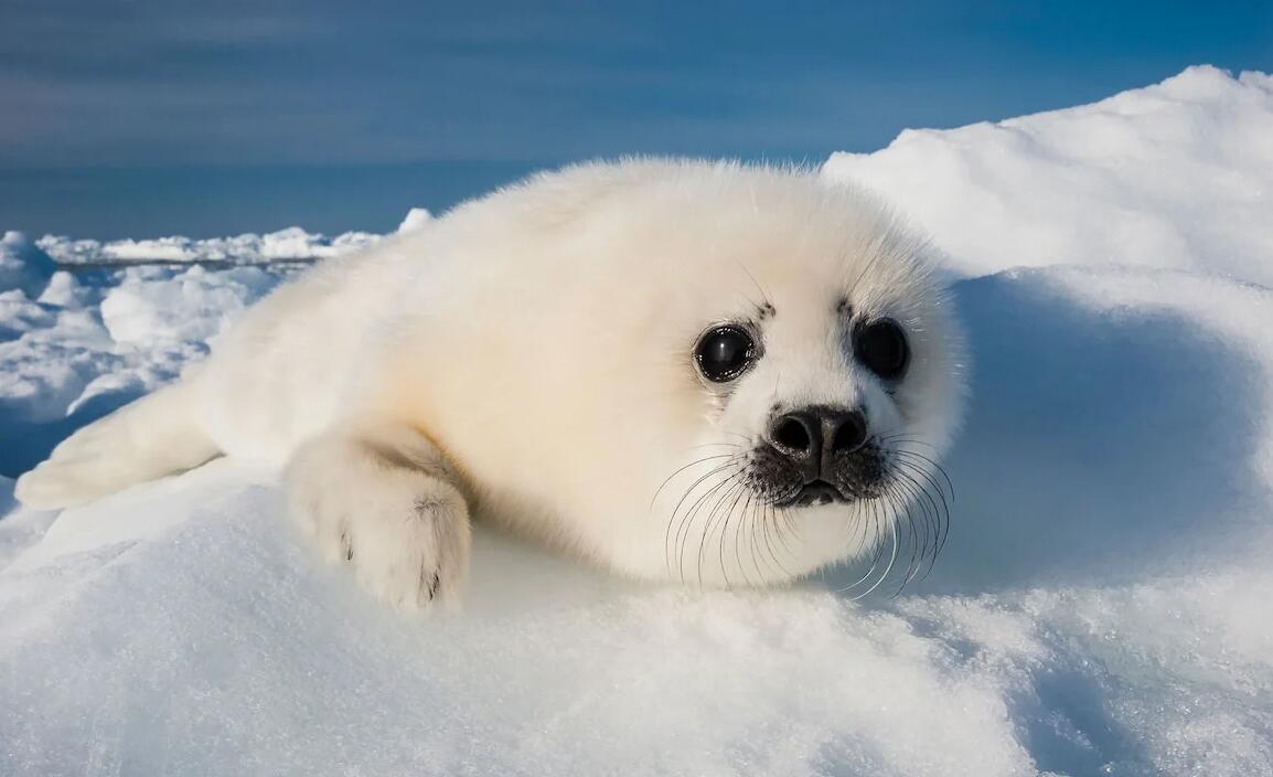 QQ截图20250630163154.jpg QQ截图20250630163154.jpg