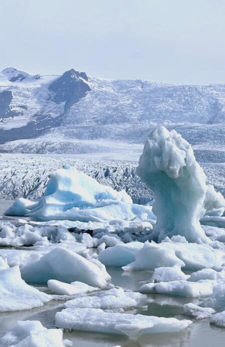 沙文冰川：极地之巅的冷峻史诗