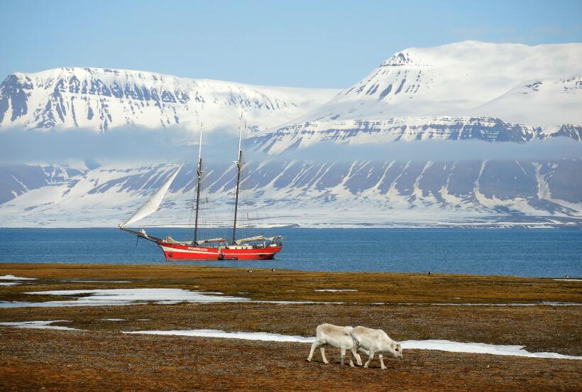 伊斯峡湾：冰与海的千年叙事诗