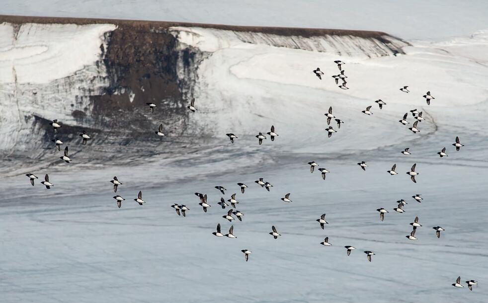 冰封帝国：法兰士约瑟夫地群岛的极地史诗