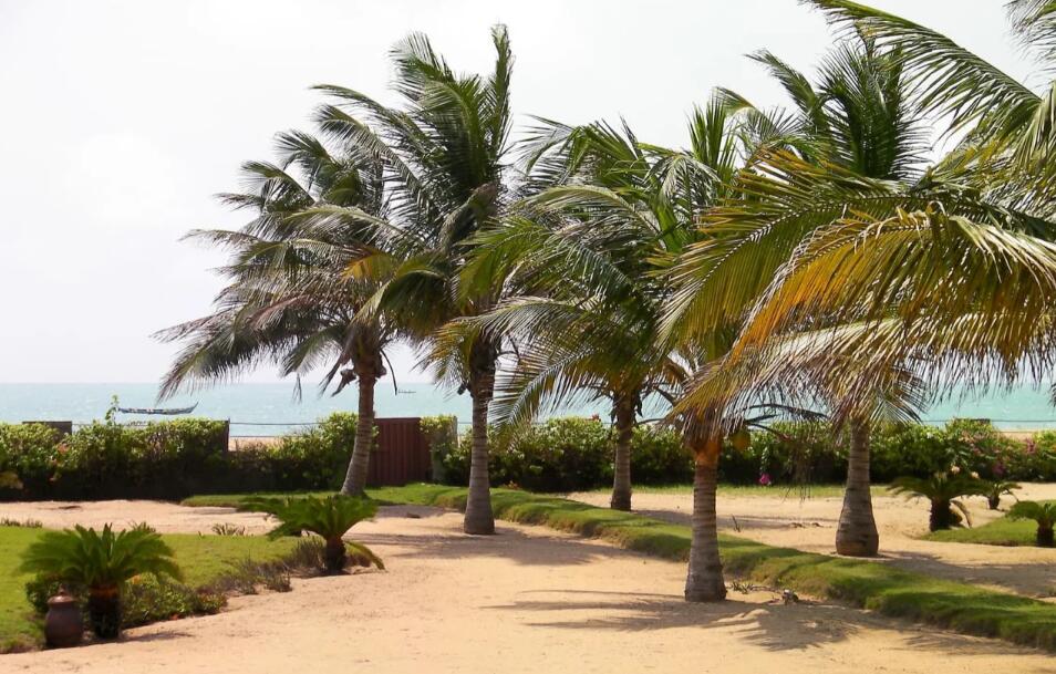 多哥：非洲文明的微型剧场