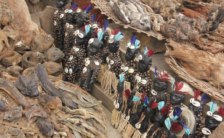 多哥巫毒仪式：神秘信仰的千年脉动