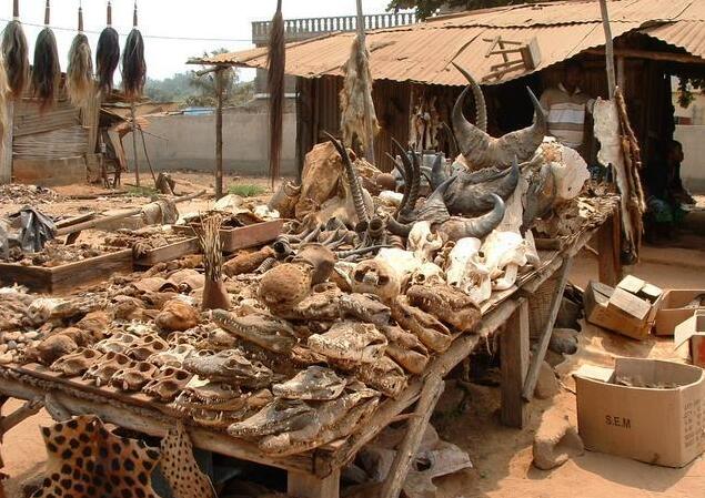 多哥洛美大市场：西非的市井交响诗