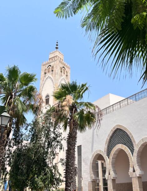 阿加迪尔：大西洋畔的重生寓言