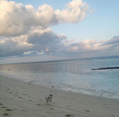 圣玛丽岛：莫桑比克海峡的混血史诗