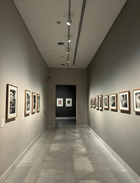 毕加索的迷宫：在破碎与重组中寻找艺术的永恒