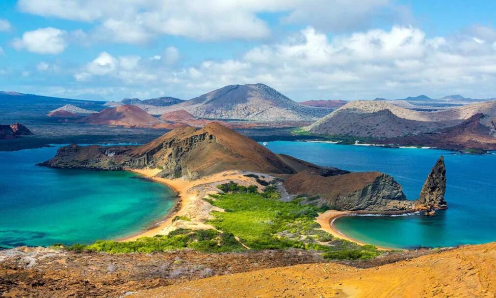 熔岩与基因之舞：加拉帕戈斯群岛的进化史诗