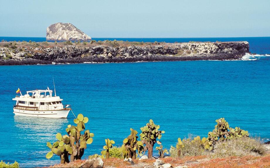 珊瑚与星空的私语