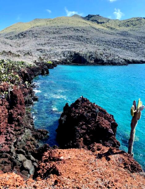 加拉帕戈斯的生命狂想曲