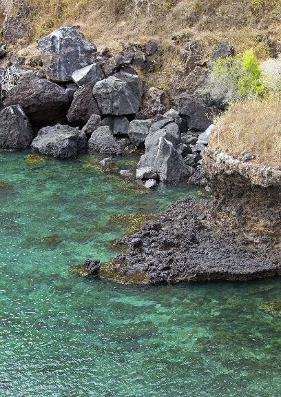 玄武岩上的生命密码：圣岛物种起源手记