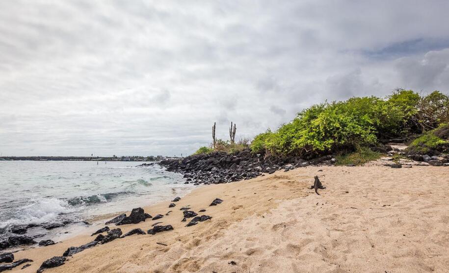 潮汐雕琢的孤岛翡翠——圣克里斯托瓦尔岛野性手记