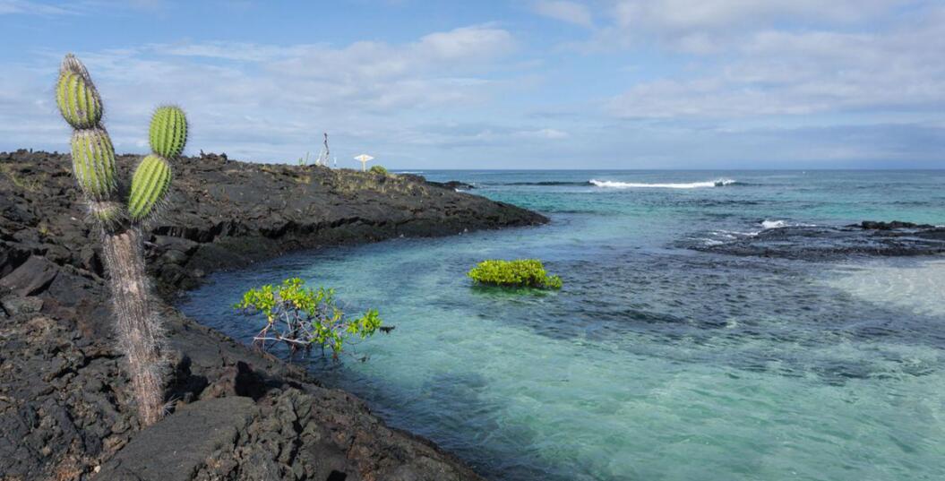 十米浪与千年苔：莫雷诺角的极端美学