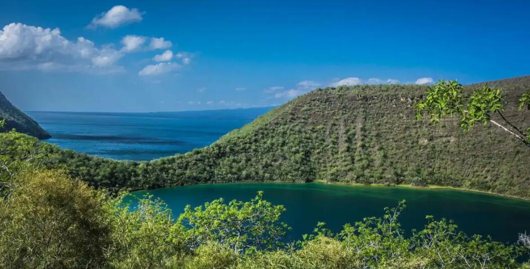 一个海湾的二十四重生命奏鸣