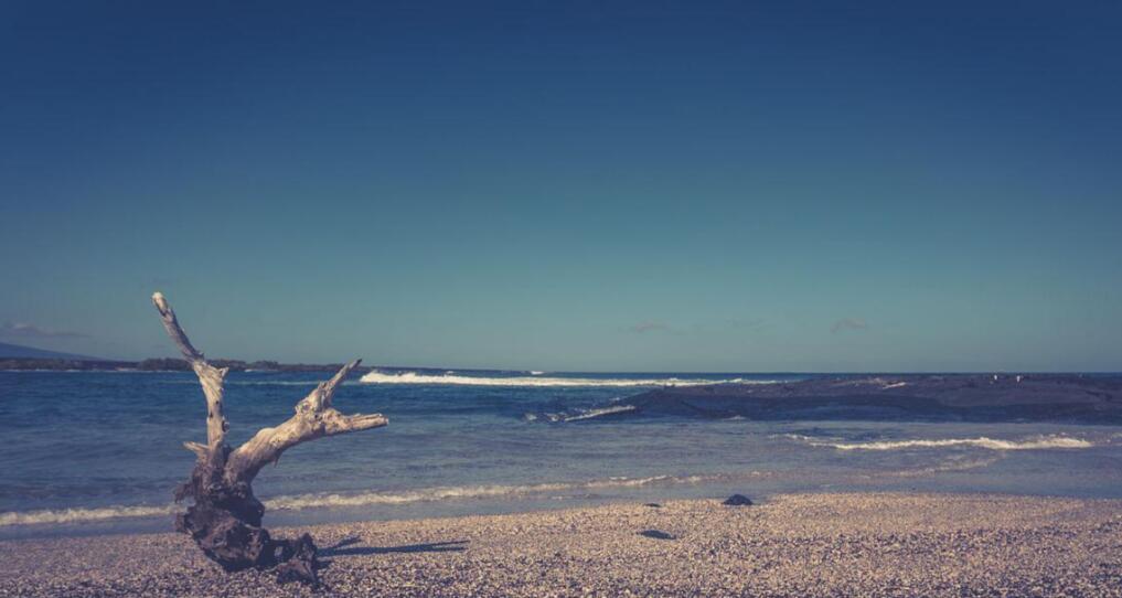 在蔚蓝与翠绿交界处：一个未被驯服的海角启示录