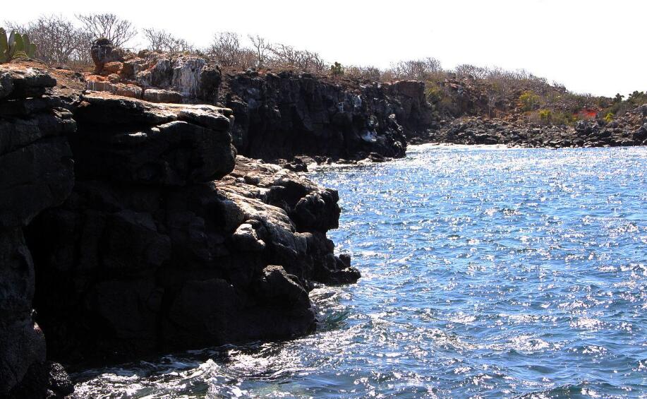 造物主的最后拼图：北西摩岛自然史诗