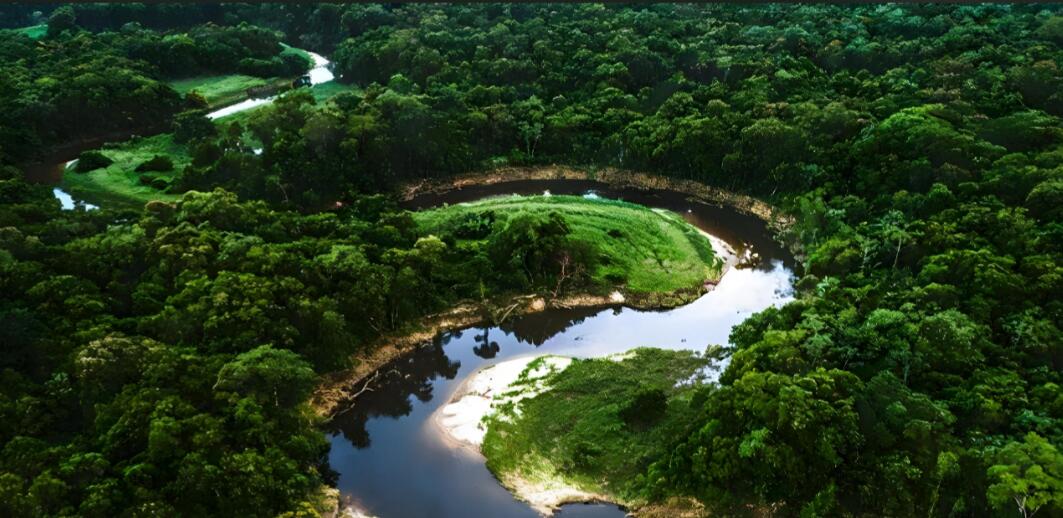 翡翠迷宫：科卡-亚马逊的生命织锦