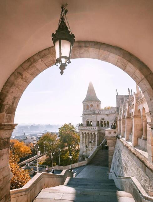 野向日葵田里的巴洛克迷宫