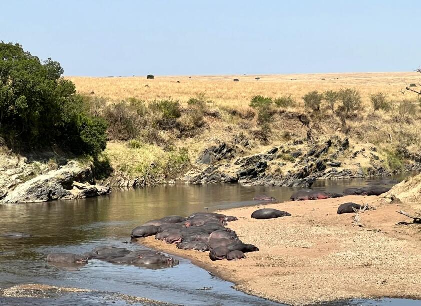 当鳄鱼咬住晚霞的咽喉，河床开始倒流