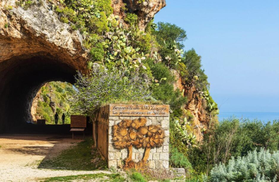 双日灼沙时——东非海陆狂想曲