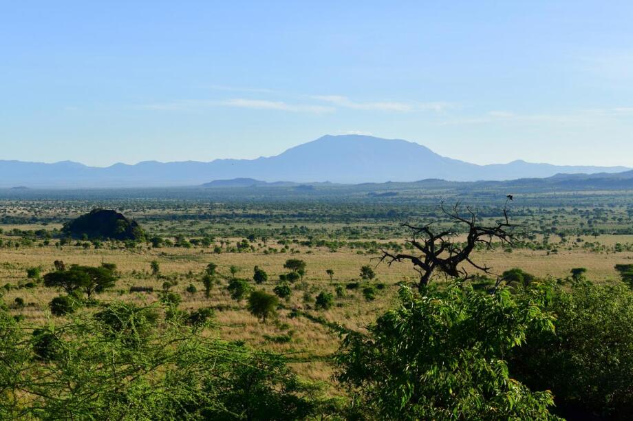 凝固的巨碗：恩戈罗恩戈罗的永恒日出