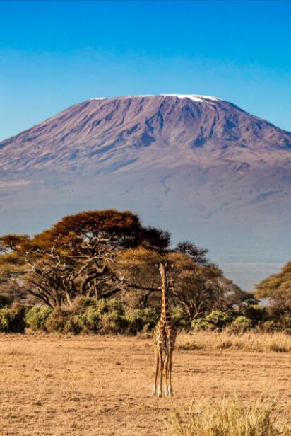 象背上的赤道：肯尼亚视觉狂想曲