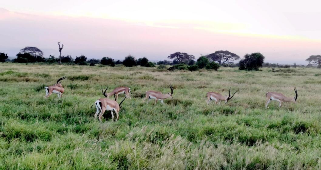 安博塞利的天地对谈录