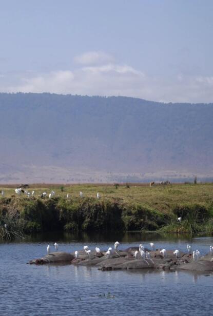 火山口纪年：凝固在610米深的非洲记忆