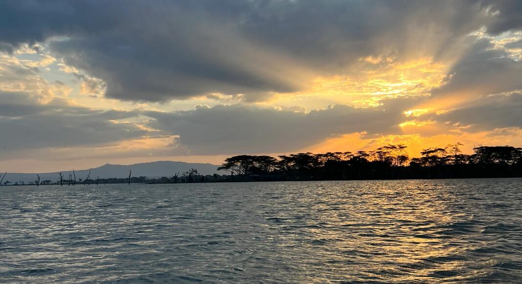 新月岛生物钟交响曲